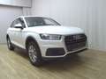Audi Q5 40 TDI Qu. T-Leder Navi virtual Xenon RFK Weiß - thumbnail 3