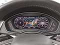 Audi Q5 40 TDI Qu. T-Leder Navi virtual Xenon RFK Weiß - thumbnail 8