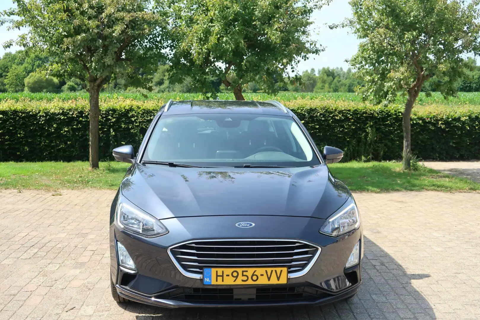 Ford Focus Wagon 1.0 EcoBoost Titanium Business Trekhaak, rij Bleu - 2