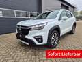 Suzuki S-Cross Comfort+ 110PS Automatik MHEV 1.4 Boosterjet Te... Weiß - thumbnail 1