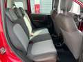 Fiat Panda Cross 1.3 MJT S&S 4x4 Rosso - thumbnail 13
