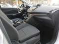 Ford C-Max 1.0 Ecoboost Auto-S&S Trend+ 125 Blanco - thumbnail 13