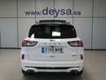 Ford Kuga ST-Line X 2.5 Duratec PHEV 165kW Auto Blanco - thumbnail 4