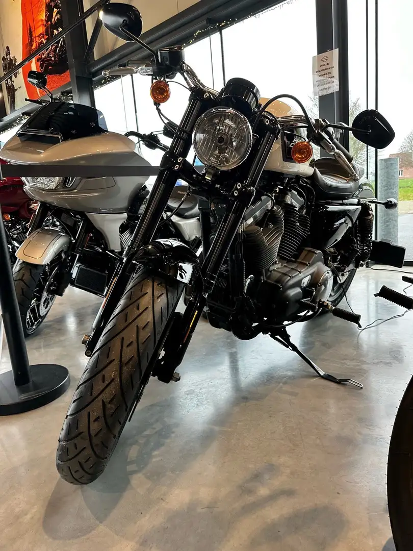 Harley-Davidson XL 1200 ROADSTER Blanc - 2