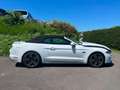 Ford Mustang 5,0L V8 GT Convertible *HAVARIE* Weiß - thumbnail 3