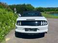 Ford Mustang 5,0L V8 GT Convertible *HAVARIE* Weiß - thumbnail 6