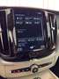 Volvo XC60 D4 Momentum Premium Edition Aut. Verde - thumbnail 28