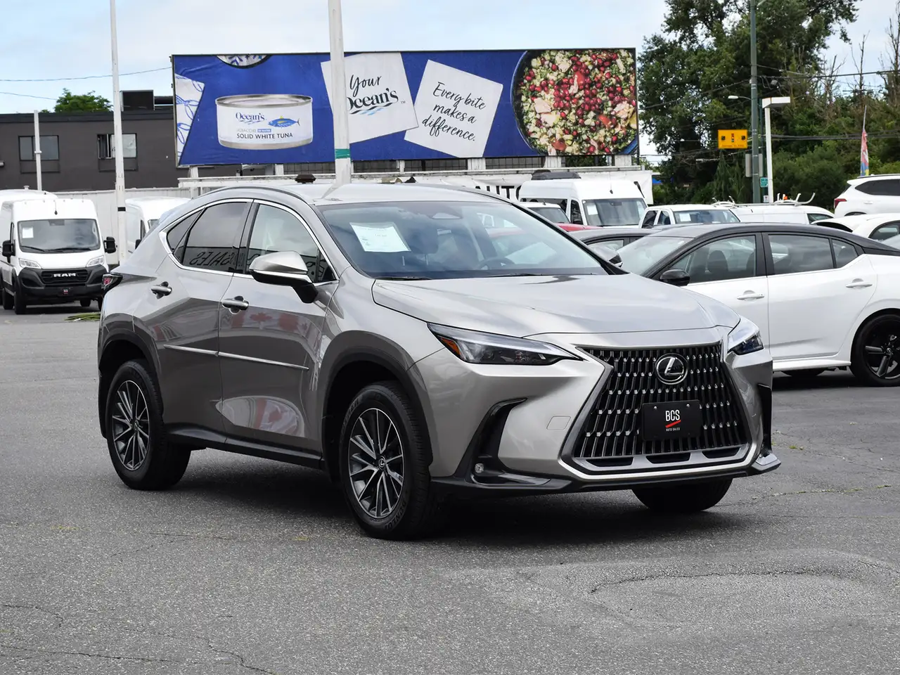 Lexus NX fotografie Lexus NX