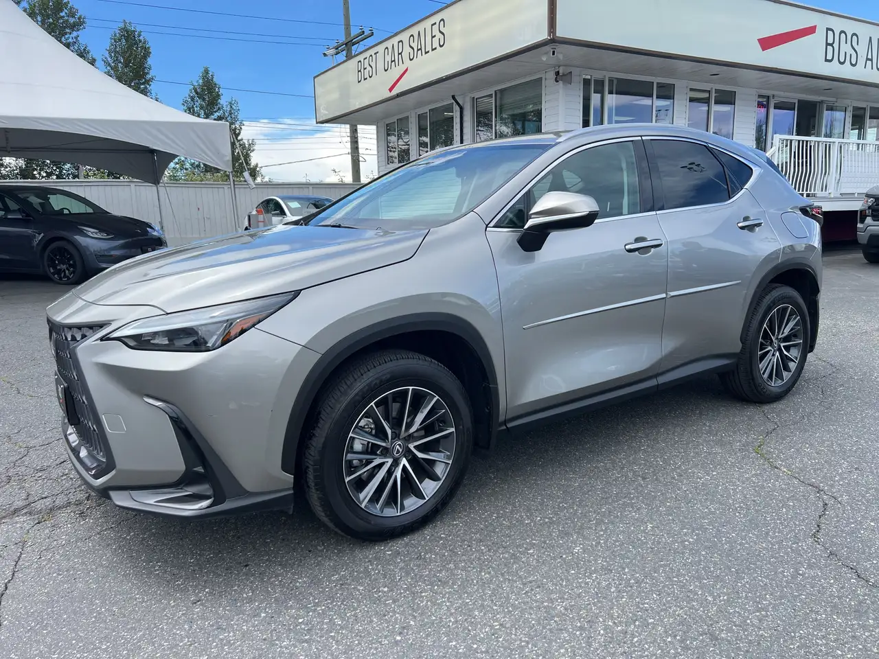2025 Lexus NX