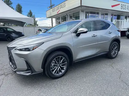 2025 Lexus NX 250 AWD
