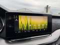 Skoda Octavia Combi RS iV DSG*Facelift*Wenig-KM* Grau - thumbnail 35
