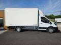 Ford Transit P350 2.0L TDCI 130CH CAISSE 20M3 L4 / 4 100 KM Bianco - thumbnail 5
