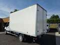 Ford Transit P350 2.0L TDCI 130CH CAISSE 20M3 L4 / 4 100 KM Bianco - thumbnail 8