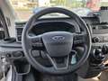 Ford Transit P350 2.0L TDCI 130CH CAISSE 20M3 L4 / 4 100 KM Bianco - thumbnail 14