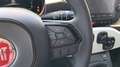 Fiat Sonstige Pandina Cross 1.0 Hybrid Rot - thumbnail 19