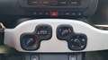 Fiat Sonstige Pandina Cross 1.0 Hybrid Rot - thumbnail 24