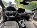 Audi A5 A5 Sportback 35 TFSI  compétition Wit - thumbnail 13