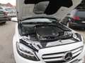 Mercedes-Benz C 200 d T Aut. Weiß - thumbnail 30
