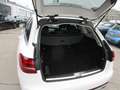 Mercedes-Benz C 200 d T Aut. Weiß - thumbnail 14