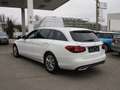 Mercedes-Benz C 200 d T Aut. Weiß - thumbnail 18