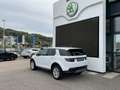 Land Rover Discovery Sport D180 4WD Aut. Weiß - thumbnail 4