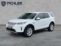 Land Rover Discovery Sport D180 4WD Aut. Weiß - thumbnail 1