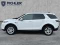 Land Rover Discovery Sport D180 4WD Aut. Weiß - thumbnail 3