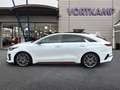 Kia ProCeed / pro_cee'd GT PANORAMADACH JBL-SOUND BI-LED Wit - thumbnail 9