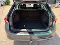 Skoda Octavia 2.0 TDI DSG STYLE:Leder,AHK, 11,-Netto Grau - thumbnail 11