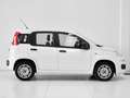 Fiat Panda Panda III 2016 1.2 Easy s Bianco - thumbnail 6