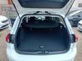 Ford Focus Turnier FACELIFT 1.5l EcoBlue Aut. Cool & Connect Weiß - thumbnail 13