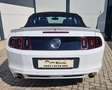 Ford Mustang GT 5.0 Ti-VCT V8 Autom. Cabrio, 1.Besitz, MwSt.. Weiß - thumbnail 5