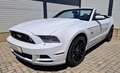 Ford Mustang GT 5.0 Ti-VCT V8 Autom. Cabrio, 1.Besitz, MwSt.. Weiß - thumbnail 1