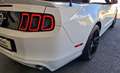 Ford Mustang GT 5.0 Ti-VCT V8 Autom. Cabrio, 1.Besitz, MwSt.. Weiß - thumbnail 28