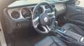 Ford Mustang GT 5.0 Ti-VCT V8 Autom. Cabrio, 1.Besitz, MwSt.. Weiß - thumbnail 13