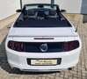 Ford Mustang GT 5.0 Ti-VCT V8 Autom. Cabrio, 1.Besitz, MwSt.. Weiß - thumbnail 7