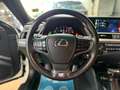Lexus ES 300 CHRISTMAS PROMO! ES 300h 2.5 F Sport cvt Bianco - thumbnail 11