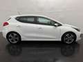 Kia Ceed / cee'd 1.0 T-GDi GT-Line Camera Bianco - thumbnail 8