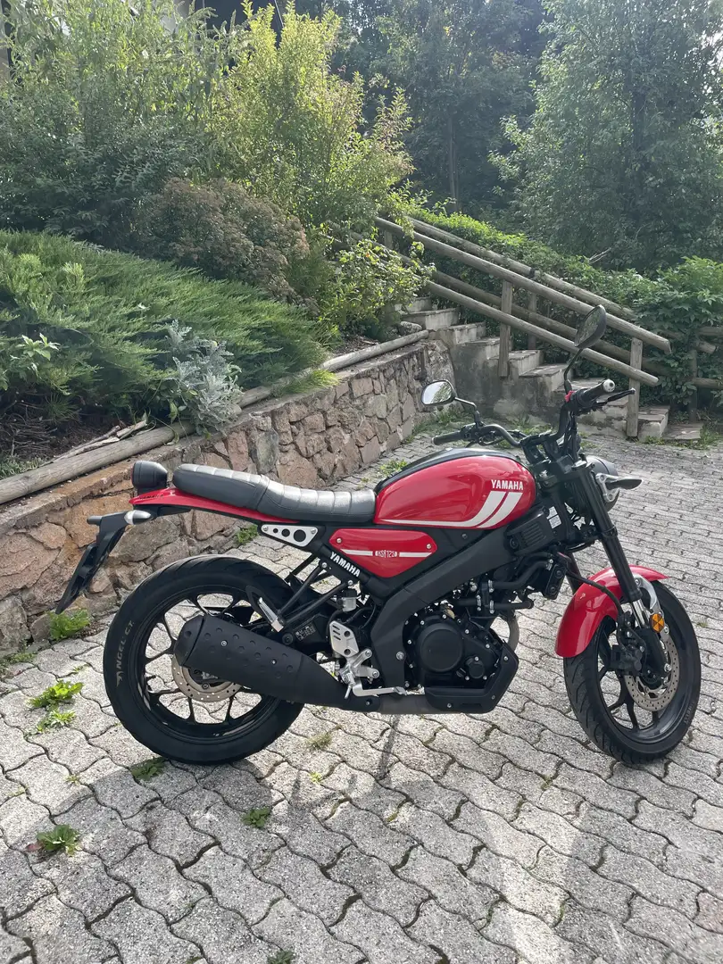 Yamaha XSR 125 Red - 1