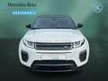 Land Rover Range Rover Evoque Evoque 2.0 TD4 SE DYNAMIC KEYL+NAVI+XENON+LEDER Weiß - thumbnail 2