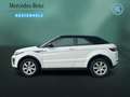 Land Rover Range Rover Evoque Evoque 2.0 TD4 SE DYNAMIC KEYL+NAVI+XENON+LEDER Weiß - thumbnail 8