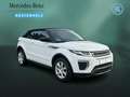 Land Rover Range Rover Evoque Evoque 2.0 TD4 SE DYNAMIC KEYL+NAVI+XENON+LEDER Weiß - thumbnail 3