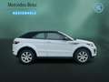Land Rover Range Rover Evoque Evoque 2.0 TD4 SE DYNAMIC KEYL+NAVI+XENON+LEDER Weiß - thumbnail 4