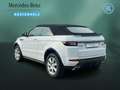 Land Rover Range Rover Evoque Evoque 2.0 TD4 SE DYNAMIC KEYL+NAVI+XENON+LEDER Weiß - thumbnail 7