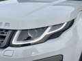 Land Rover Range Rover Evoque Evoque 2.0 TD4 SE DYNAMIC KEYL+NAVI+XENON+LEDER Weiß - thumbnail 16