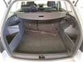 Skoda Fabia Ambition 1.0 TSI Silber - thumbnail 20