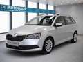 Skoda Fabia Ambition 1.0 TSI Silber - thumbnail 1