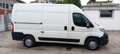 Citroen Jumper LH2 KM100000 NO MAIL Blanc - thumbnail 3