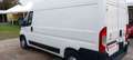 Citroen Jumper LH2 KM100000 NO MAIL Blanc - thumbnail 4