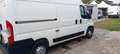 Citroen Jumper LH2 KM100000 NO MAIL Blanc - thumbnail 5